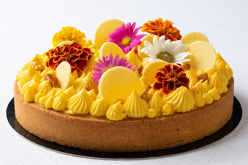 MessinaElianaDoraFausta2 MessinaElianaDoraFausta2